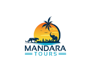background-remove-logo.png